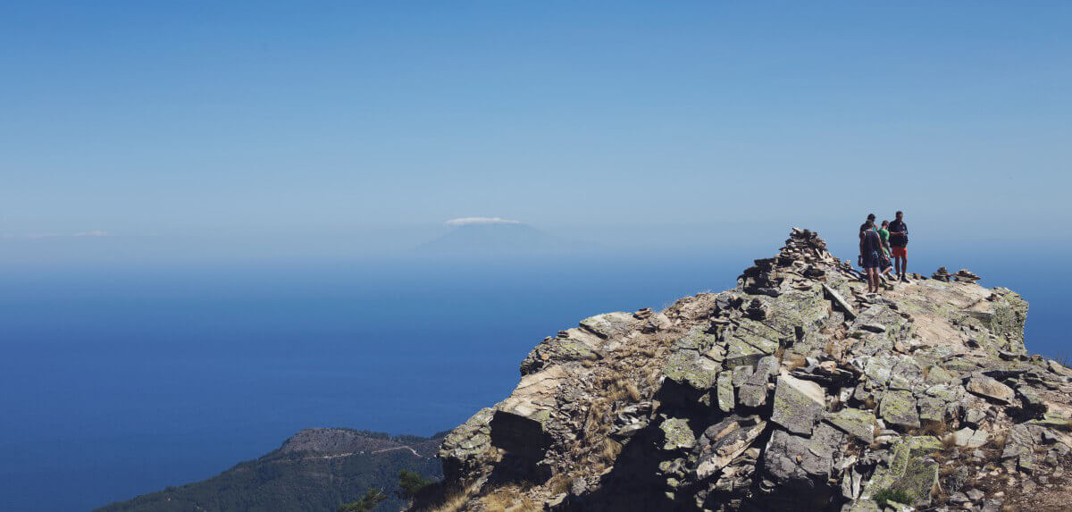 被夸大了的失敗經(jīng)驗，無非是變相的成功學(xué)